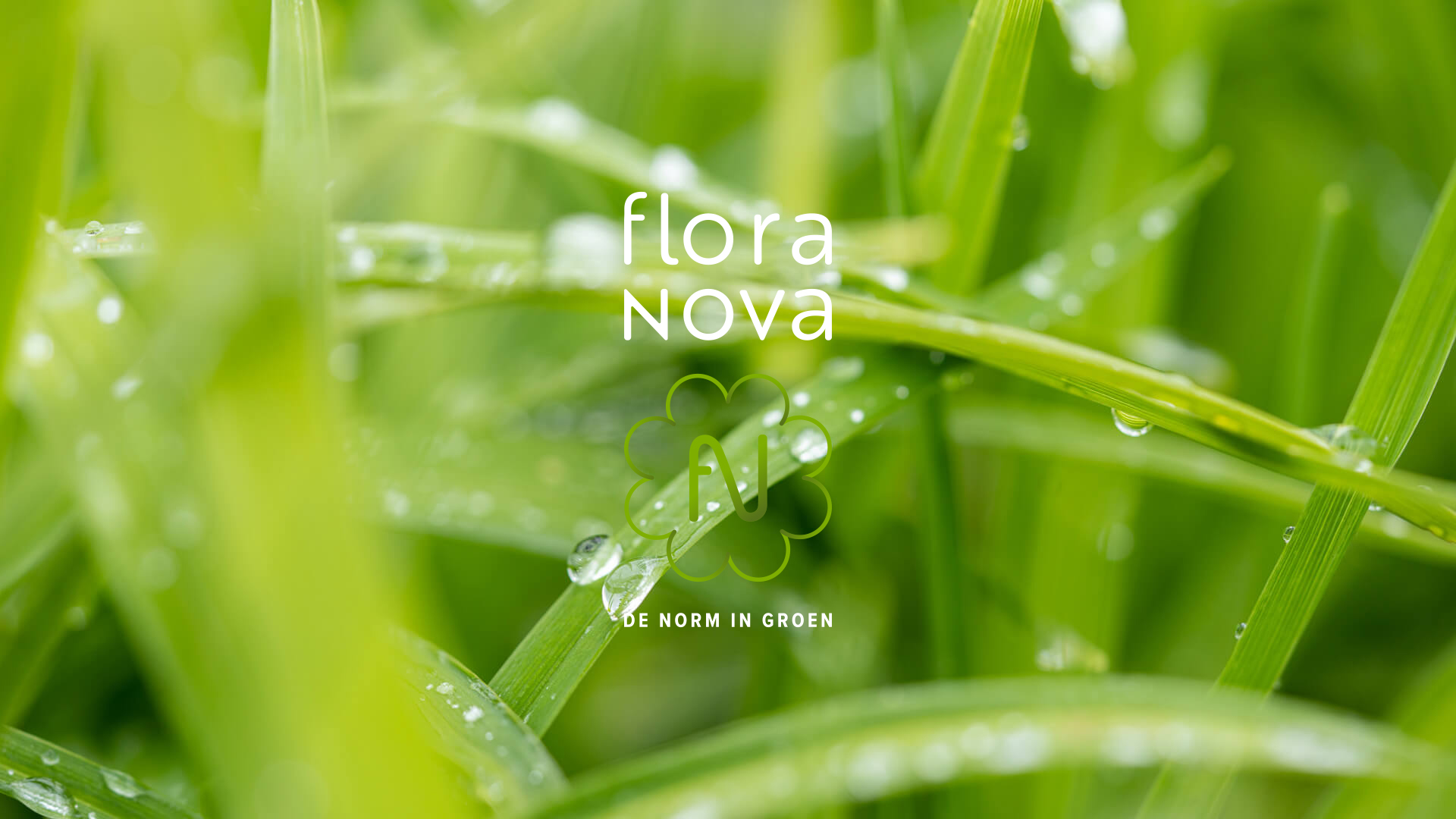 Flora Nova